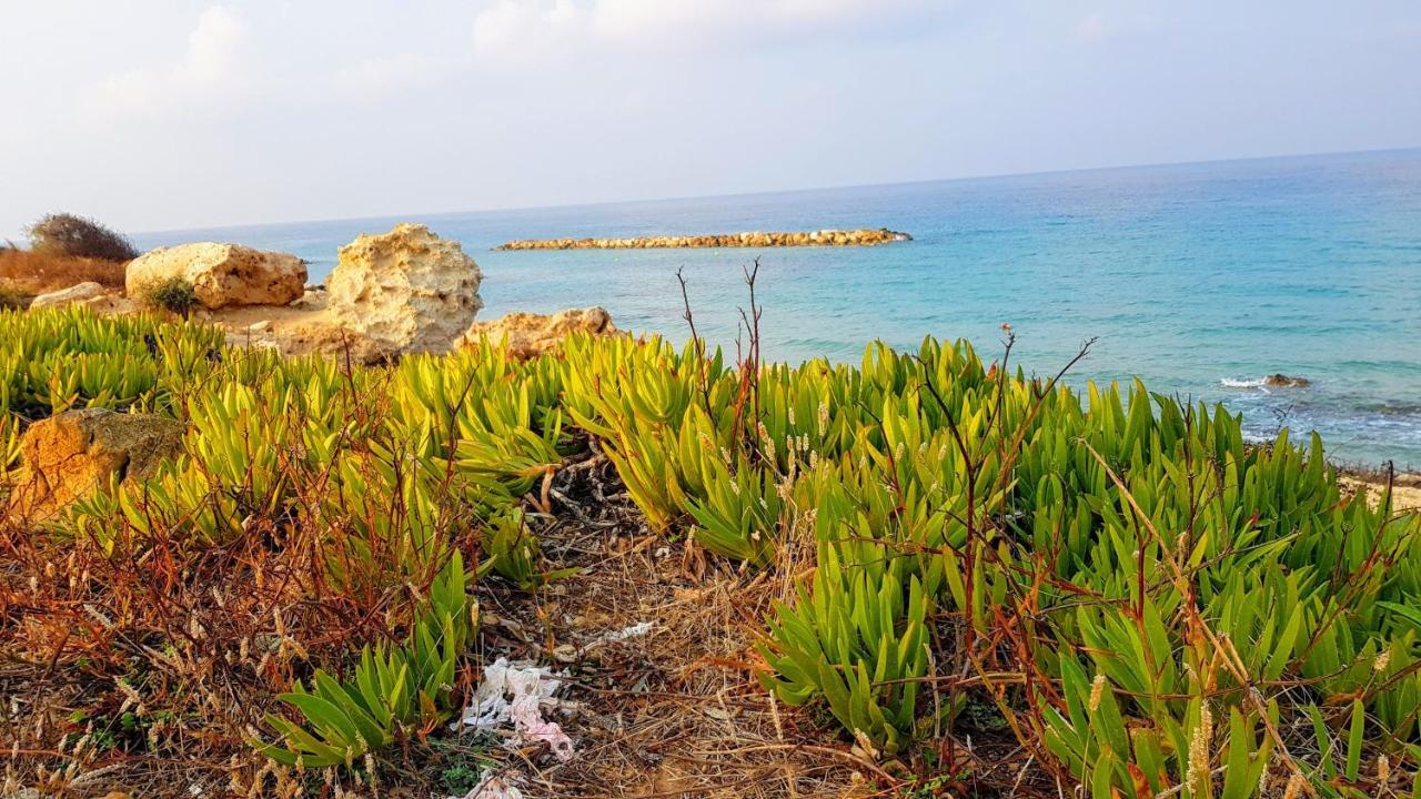 Dahan Sirena Lighthouse Luxury Apartment Paphos Exterior photo